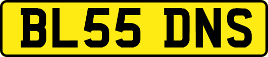 BL55DNS