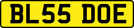 BL55DOE