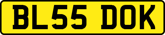 BL55DOK