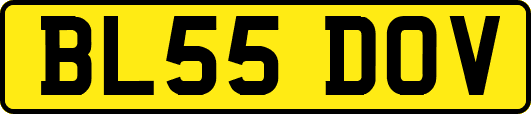 BL55DOV