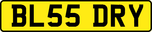 BL55DRY
