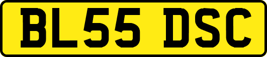 BL55DSC