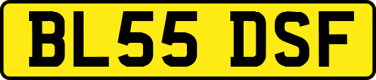BL55DSF