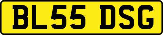 BL55DSG