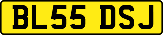 BL55DSJ