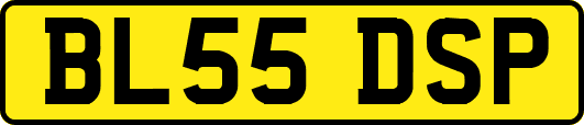 BL55DSP