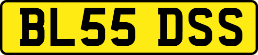 BL55DSS
