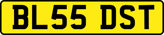 BL55DST