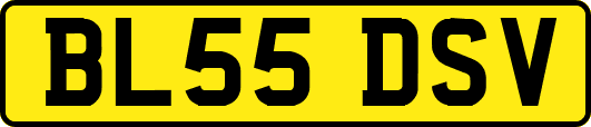 BL55DSV