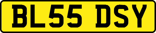 BL55DSY
