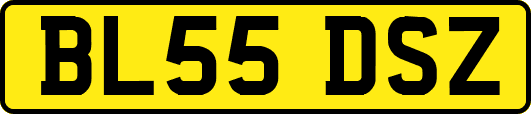 BL55DSZ