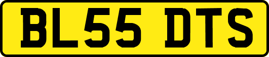 BL55DTS