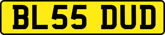 BL55DUD