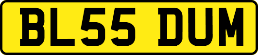 BL55DUM