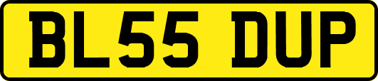 BL55DUP