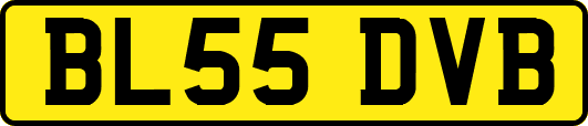 BL55DVB