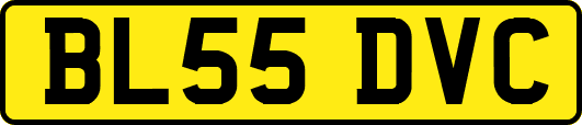 BL55DVC