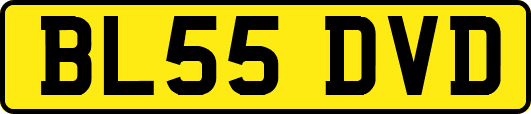 BL55DVD