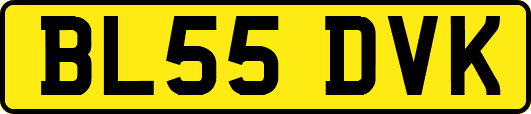 BL55DVK