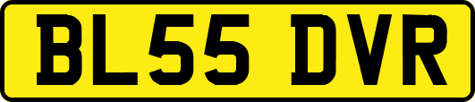 BL55DVR