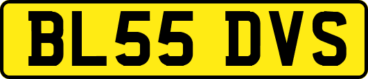 BL55DVS