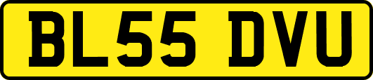 BL55DVU