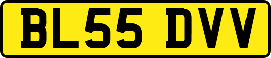 BL55DVV