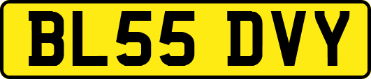 BL55DVY