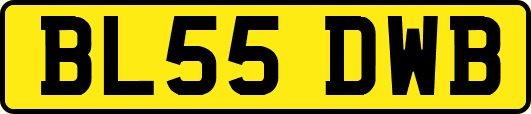 BL55DWB