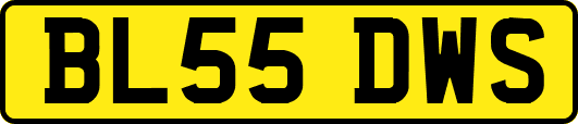 BL55DWS