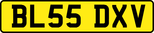 BL55DXV