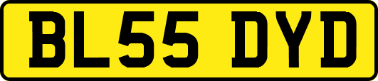 BL55DYD