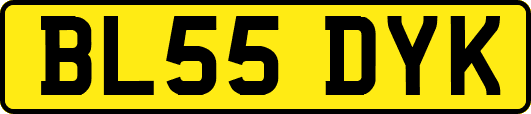 BL55DYK