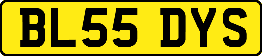 BL55DYS