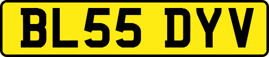 BL55DYV