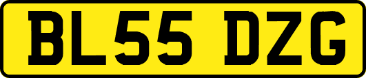 BL55DZG