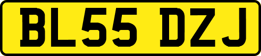 BL55DZJ