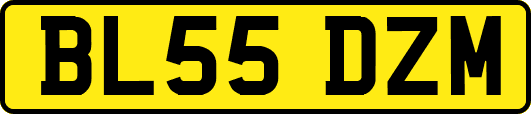 BL55DZM