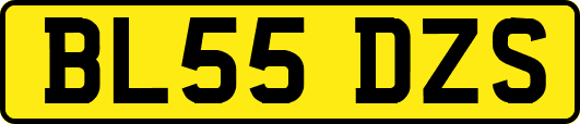 BL55DZS