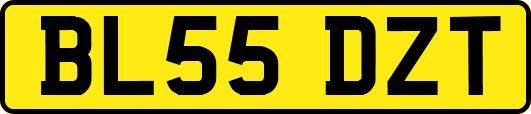BL55DZT