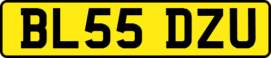 BL55DZU