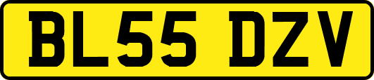 BL55DZV