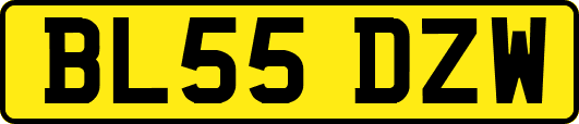 BL55DZW