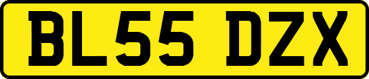 BL55DZX