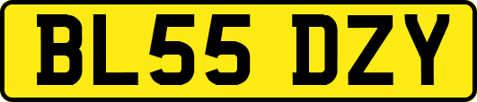 BL55DZY