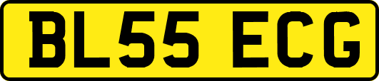 BL55ECG