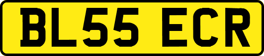 BL55ECR