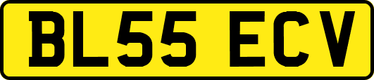BL55ECV