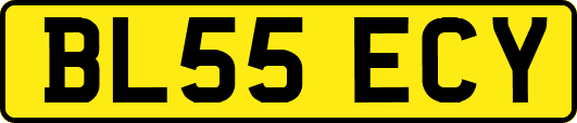 BL55ECY