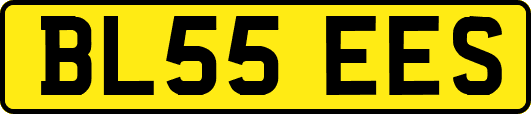 BL55EES